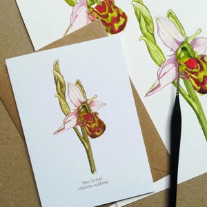Carte de voeux abeille orchidée • Carte botanique • Fleurs sauvages • Carte nature anglaise • Carte de remerciement