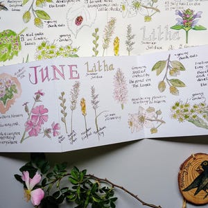 Carte de journal Nature en accordéon de juin • Carte de nature de juin • Carte d'anniversaire de juin • Solstice d'été • Graminées