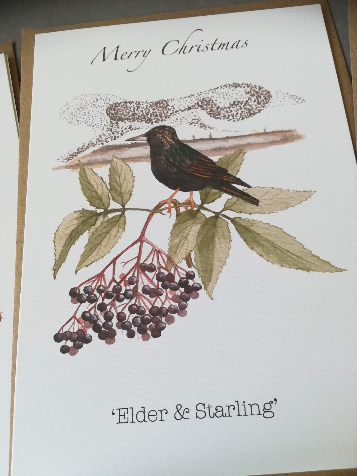 Pack of 5 Winter Nature Christmas Cards Nature Greetings Etsy UK