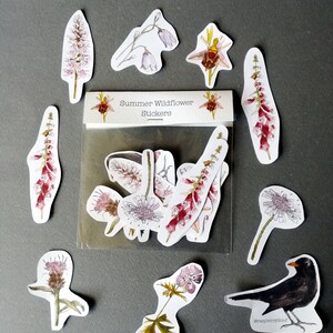 Adesivos de flores silvestres de verão • Pacote com 9 adesivos de natureza • Adesivos de flores silvestres britânicas • Adesivos biodegradáveis • Presente de aniversário de flores silvestres