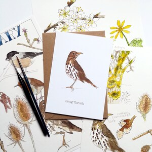 British Sparrows Wild Birds Watercolour Splash Effect Artistic Blank Greeting Card - View #7