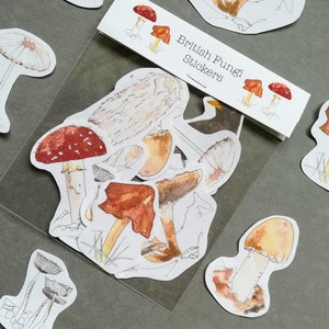 May include: A set of stickers featuring watercolour illustrations of various mushrooms, including red and white toadstools, brown mushrooms with white stems, and yellow mushrooms with brown caps. The stickers are packaged in a clear plastic bag with a white label that reads "British Fungi Stickers".
