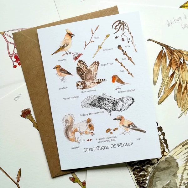 First Signs of Winter Greetings Card • Nature lovers card • Winter card • Seasons card • Nature Christmas card