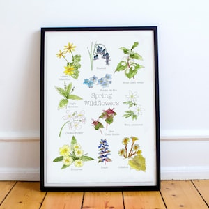 Spring Wildflowers A4 Print • Nature Lovers Gift • Wildflowers Print • Spring Print • Botanical Gift