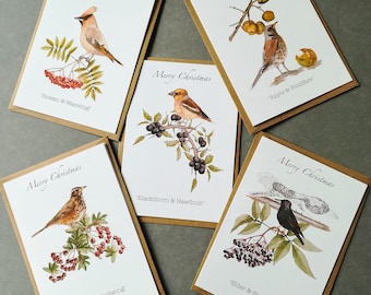 Winter Vogel Weihnachtskarten: British Nature Aquarell 5er Set