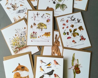 Pack of 10 Nature Greetings Cards • Nature Birthday Cards • Nature cards pack • Bird card pack • Thank You Cards • Nature Christmas Cards