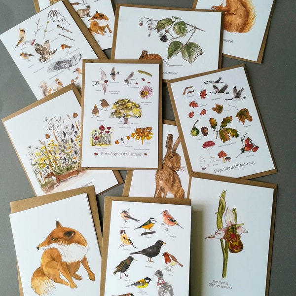 Paquet de 10 cartes de vœux nature • Cartes d'anniversaire nature • Pack de cartes nature • Pack de cartes oiseaux • Cartes de remerciement • Cartes de Noël nature