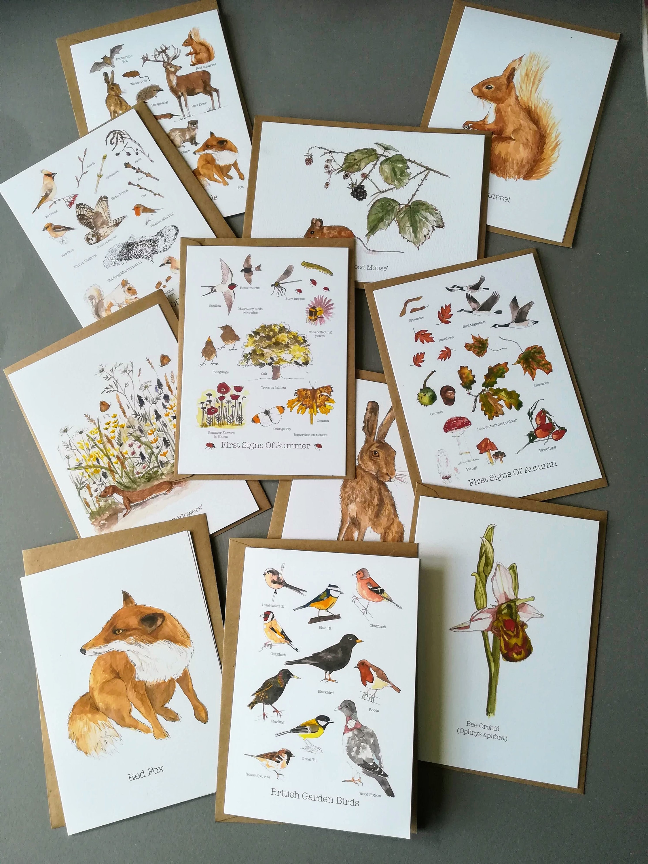 Pack of 10 Nature Greetings Cards Nature Birthday Cards - Etsy UK