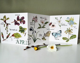 April Nature Journaling concertina card •  April Nature Card • April Birthday card • Spring card