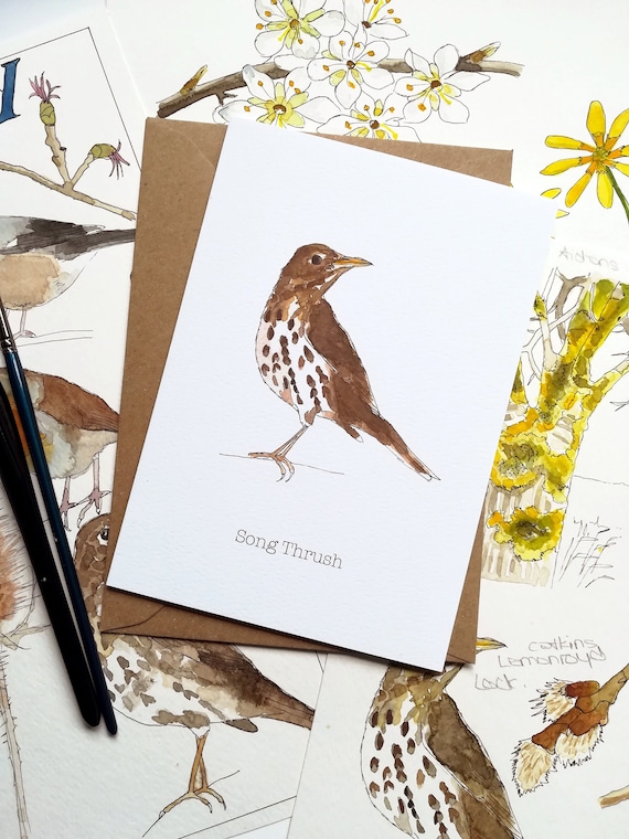 Thrush card sale