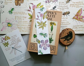 Bookmark  •  Wildflowers and Beetles  •  Summer reading  • Summer Gift