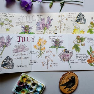 Juli Natur Journaling Ziehharmonika Karte • Juli Natur Karte • Juli Geburtstagskarte • Sommer Wildblumen