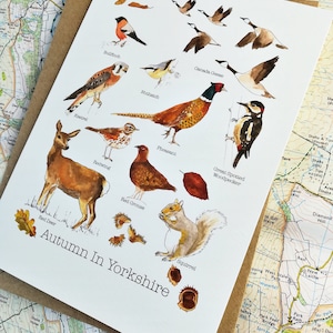 Cartões de Saudações de Outono em Yorkshire • Cartão de Outono • Cartão de Yorkshire • Cartão de Outono • Cartão de Pássaros Britânicos • Cartão da Natureza