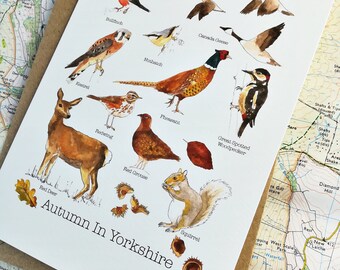 Herbst Yorkshire Grußkarten: Britische Vögel & Natur