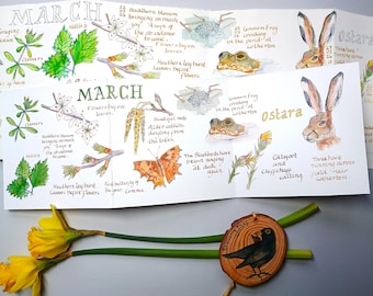 März Natur Journaling Karte • Frühling Geburtstag • Ostara • Ostern • Ziehharmonika Karte