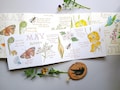 May Nature Journaling Card • Spring Watercolour Art • British Nature • Concertina • Accordian