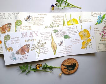 Tarjeta de diario de naturaleza de mayo • Arte de acuarela primaveral • Naturaleza británica • Concertina • Acordeón