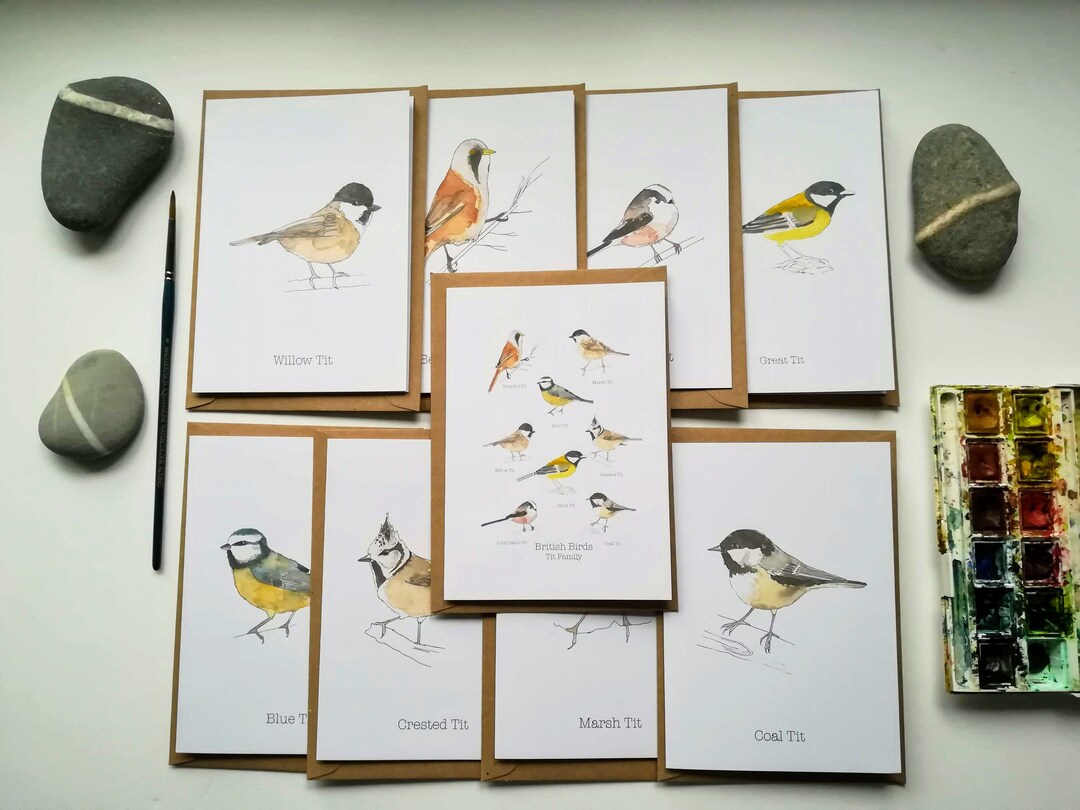 British Bird Watercolor Cards: Tit Family, Pack of 9 - Etsy