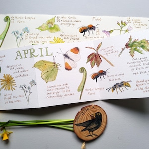 May include: A watercolor illustration of a nature-themed calendar page for April, featuring botanical drawings of flowers, insects, and plants. The page includes the word "APRIL" and handwritten notes. A wooden disc with a bird illustration is in the foreground.