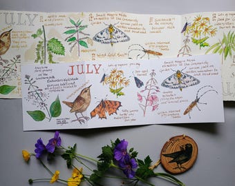 July Nature Journaling Card • Summer Watercolour Art • British Nature • Concertina • Accordian