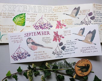 Carte de journal de nature de septembre • Aquarelle d'automne • Nature britannique • Accordéon