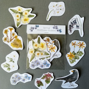 Stickers fleurs sauvages printanières • Lot de 9 stickers nature • Stickers fleurs sauvages britanniques • Cadeau Imbolc • Stickers biodégradables