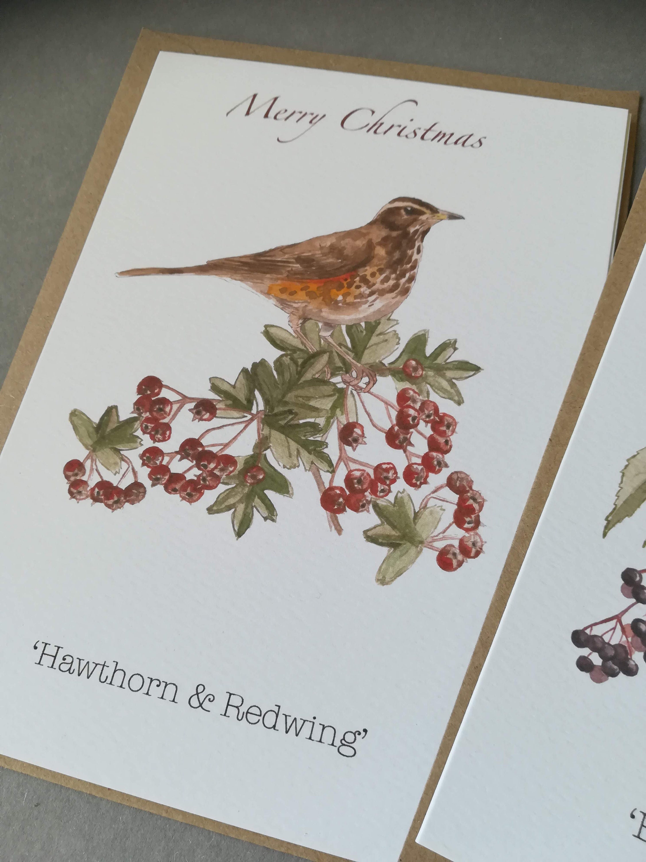 Nature Christmas Cards 
