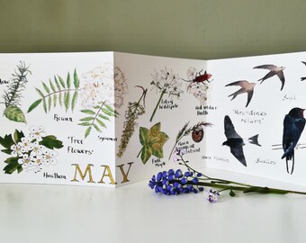 May Nature Journaling concertina card •  May Nature Card • May Birthday card • Spring card