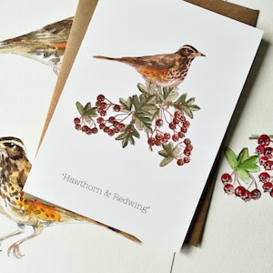 May include: A watercolor painting of a redwing bird perched on a branch of a hawthorn bush with red berries. The painting is titled "Hawthorn & Redwing".