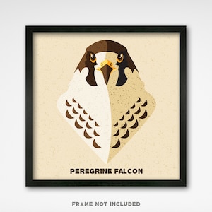 Peregrine Falcon Graphic Icon Print 8x8