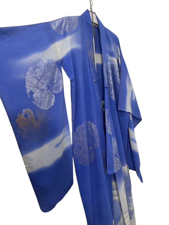 アンティーク 明治 帷子 夏用 振袖 シルク 透け感 着物 薄手 裏地なし