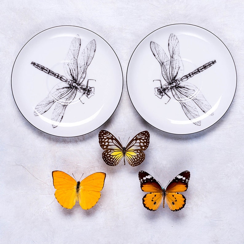 Dragonfly tea cup Dragonfly decor Kitchen decor White Etsy