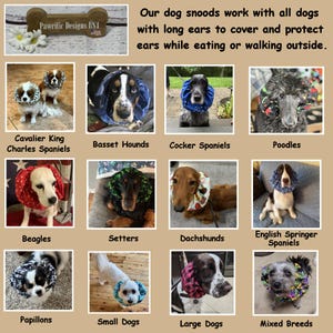 Dog Snood for Cavalier King Charles Spaniels and any dog with long ears to cover and protect ears while eating.