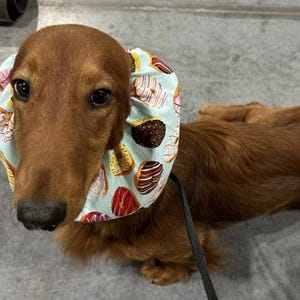 Dog Snood for Dachshunds and Cavalier King Charles Spaniels and any long eared dog. It is an ear cover to protect ears while eating.