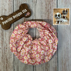 Daisy Dog Snood for Cavalier King Charles Spaniel and Long Ear Dogs to Cover Ears while Eating - Also fits Basset Hound, Greyhound, Poodle