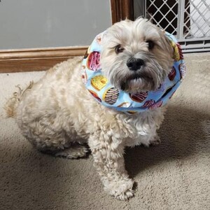 Dog Snood for Dachshunds and Cavalier King Charles Spaniels and any long eared dog. It is an ear cover to protect ears while eating.