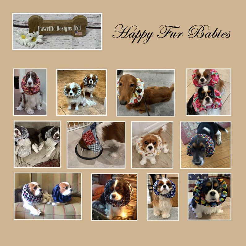 Dog Snood for Dachshunds and Cavalier King Charles Spaniels and any long eared dog. It is an ear cover to protect ears while eating.