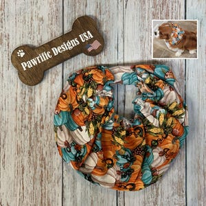 Pumpkin Dog Snood: Ear Protector for Long-Eared Dogs