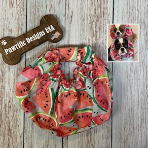 Watermelon Dog Snood: Ear Protector for Long-Eared Dogs