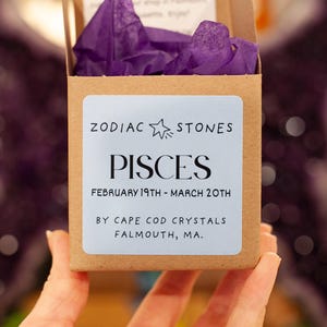 Pisces Stone Set, Pisces Zodiac Stone Gift Set with Crystals for Pisces Sign, Celestial, Astrology Crystals