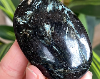 Pietra di palma arfvedsonite, alta qualità, esattamente come mostrato, minerale silicatico naturale raro