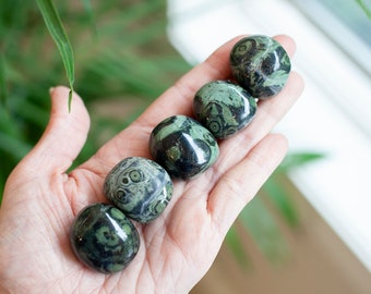 Kambaba Jasper Stone, Kambaba Jasper Tumbled Stone, High Quality