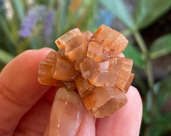 Aragonite Cluster, Aragonite, Aragonite Star, Aragonite Crystals,