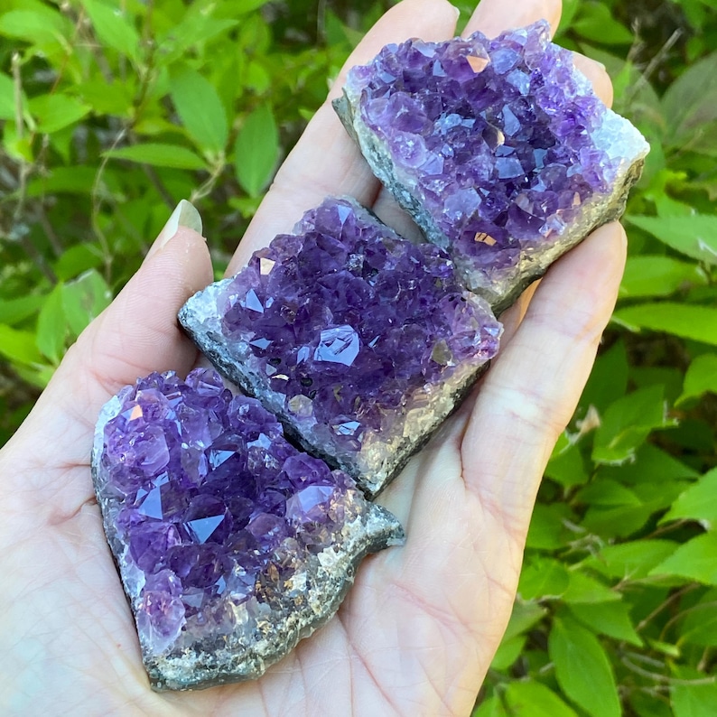 May include: Three amethyst crystal clusters with deep purple crystalline structures. The crystals are set on a gray matrix. The image is taken outdoors with green foliage in the background.