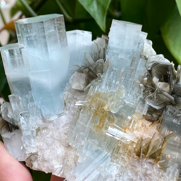 Large Aquamarine Specimen in Mica, High Quality Aquamarine Crystal From Nagar, Gem Grade, Phantom, Cluster, Pink Apatite