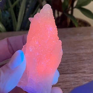 Peut inclure: Une formation cristalline rose clair et lumineuse, avec une surface rugueuse et texturée. Le cristal a un cœur rouge-orangé vibrant qui s'estompe en un rose plus clair sur les bords. Le cristal est tenu dans une main.