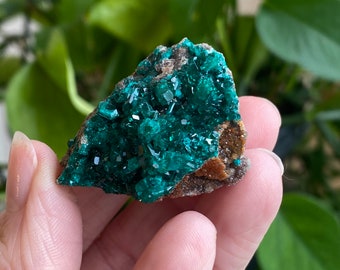 Dioptase, Dioptasekristall, Dioptasemineral