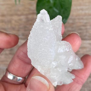 Puede incluir: Un grupo de cristales de cuarzo transparente, sostenido en una mano. El cuarzo tiene una superficie rugosa y texturizada con m&uacute;ltiples puntas. El fondo incluye una planta verde borrosa y una superficie de madera.