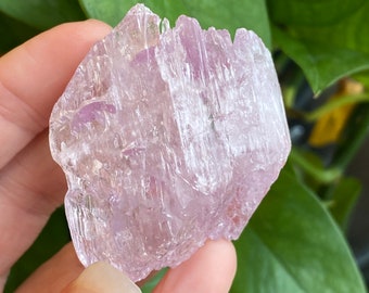 Kunzite Crystal, Kunzite Specimen, Self Healed, Etched, Kunzite Gem, Raw Kunzite, Higher Grade