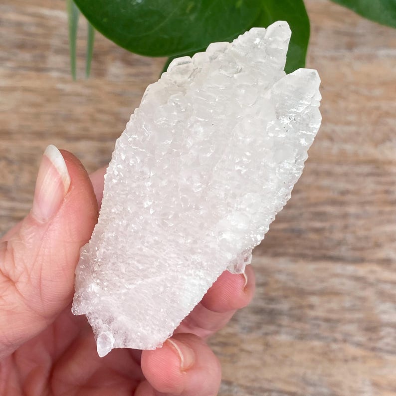 May include: A clear, crystalline cluster of quartz, held in a hand. The quartz has a rough, textured surface and a natural, irregular shape. The crystal is translucent, allowing light to pass through. The background includes a wooden surface and a green plant.